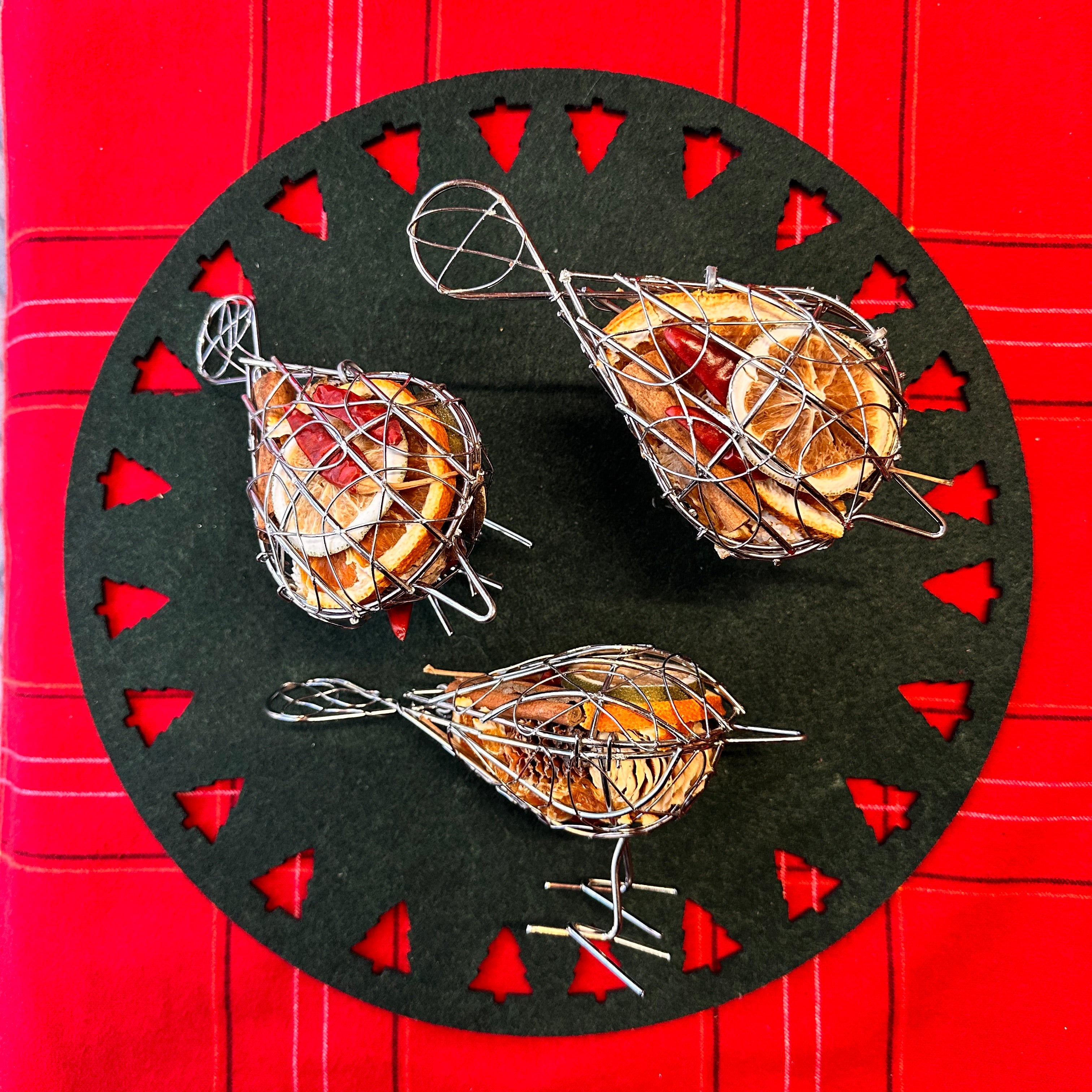 Robin Dried Fruit Cage