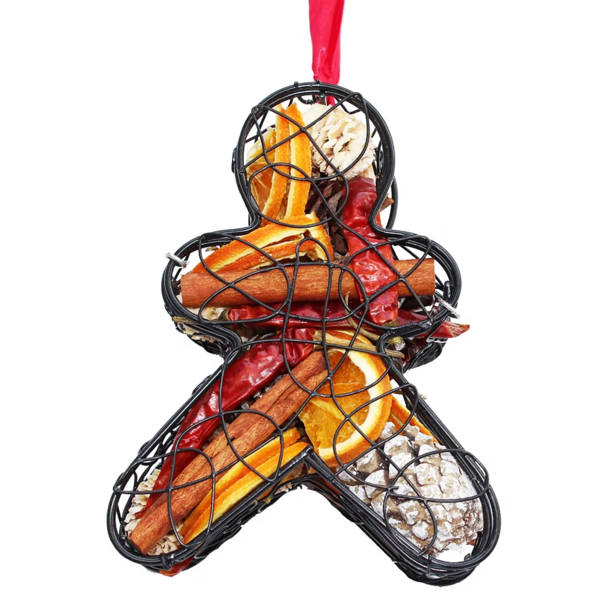 Gingerbread Dried Fruit Cage