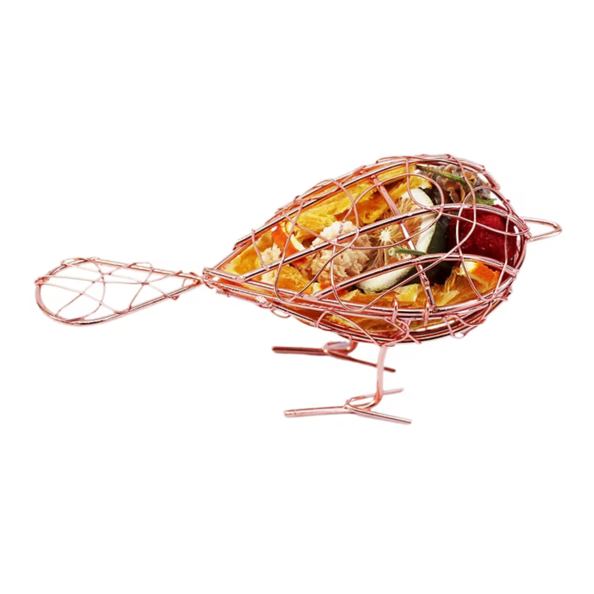 Robin Dried Fruit Cage