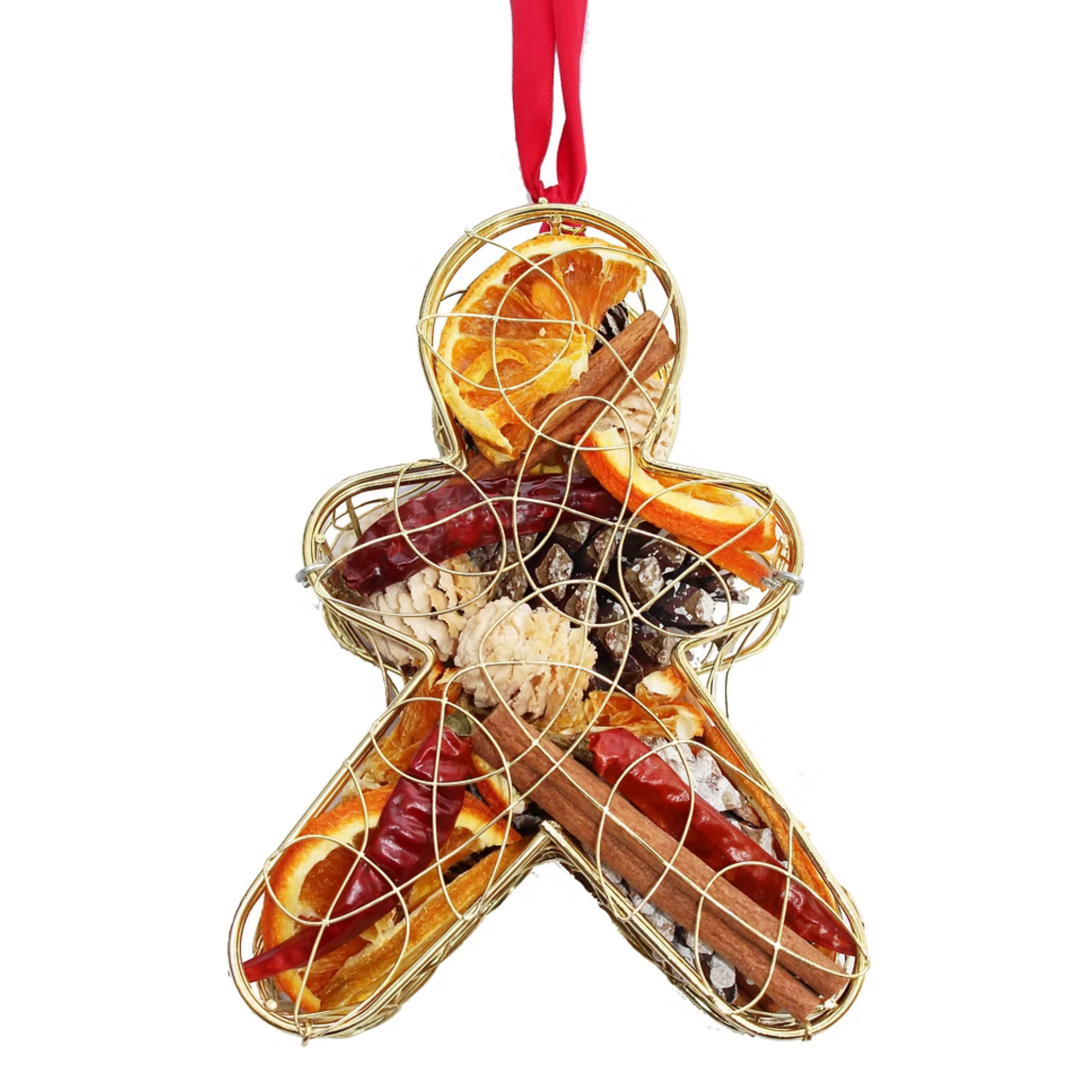 Gingerbread Dried Fruit Cage