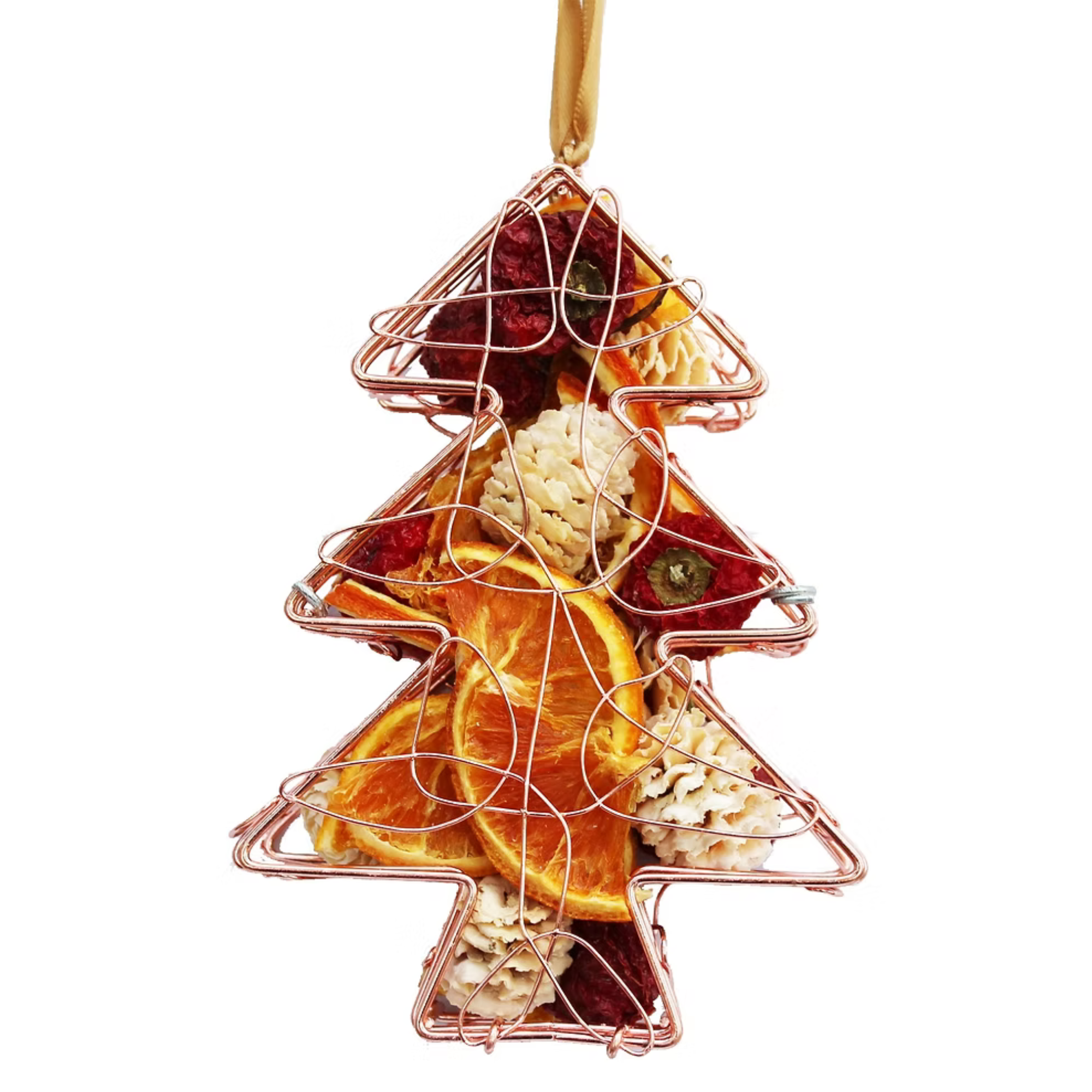 Tree Dried Fruit Cage