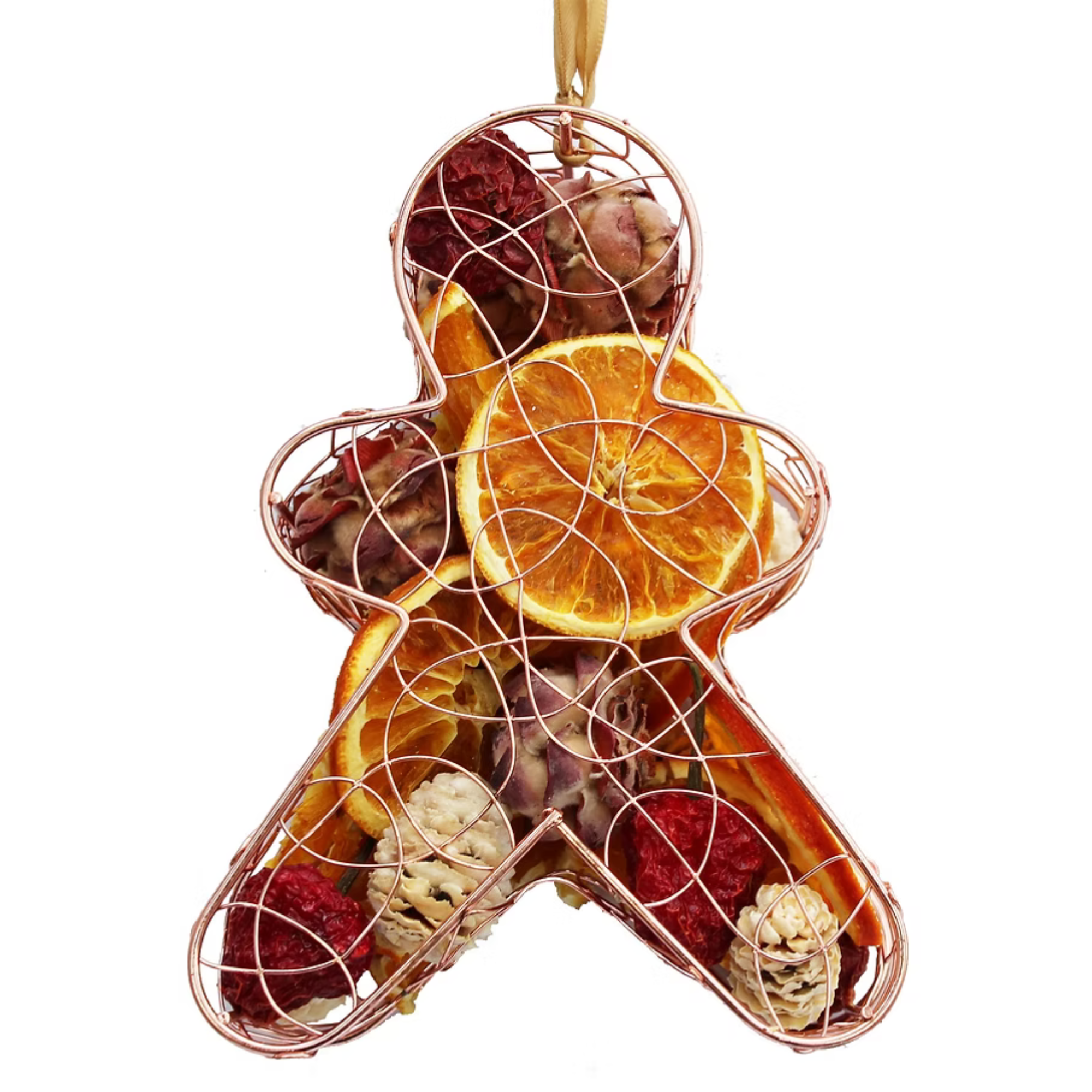 Gingerbread Dried Fruit Cage