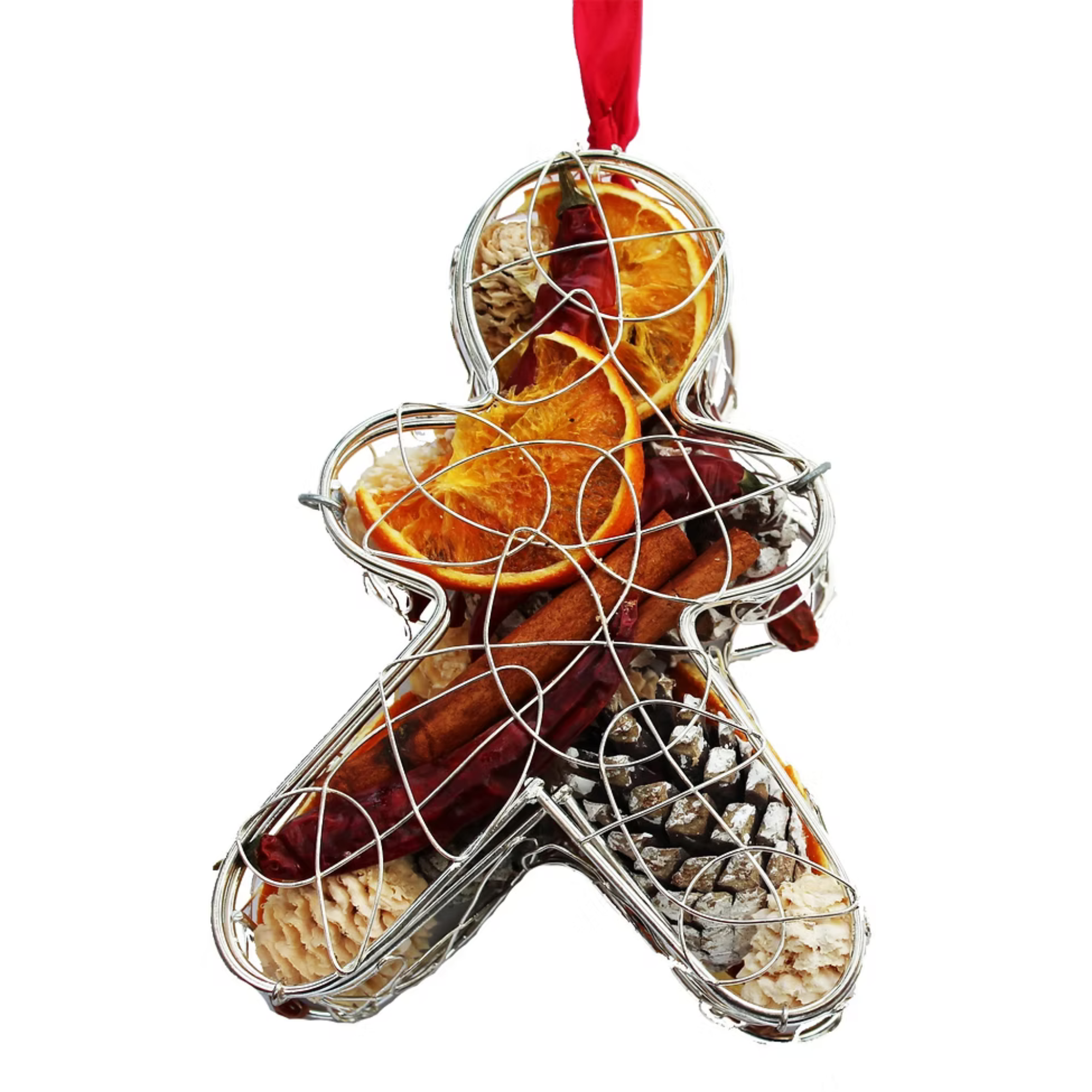 Gingerbread Dried Fruit Cage